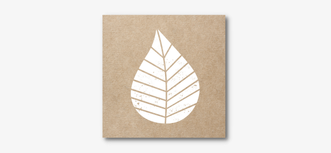 Feestpakket "Graphic Leaves"