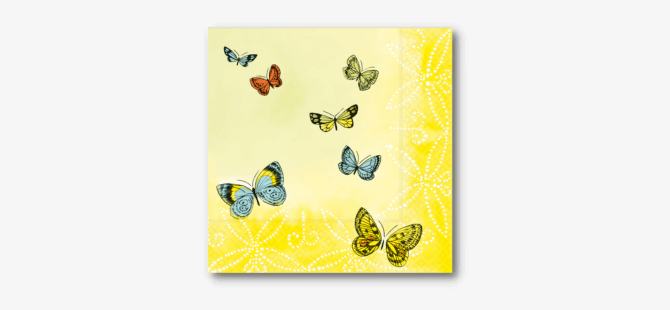 Feestpakket "Papillons"