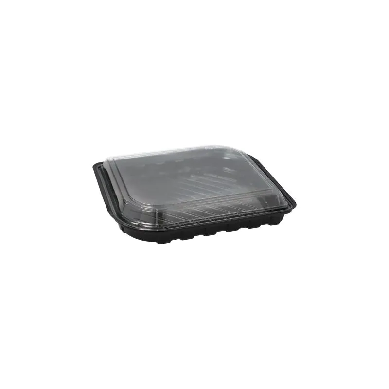Sushi-Schalen rechteckig 21 x 18 cm x 4,3 cm schwarz mit transparentem Deckel - Bild 1 Sushi-Schalen rechteckig 21 x 18 cm x 4,3 cm schwarz mit transparentem Deckel - Bild 1