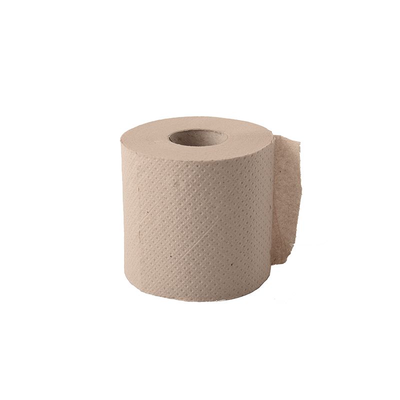 Toilettenpapier Ø 9,6 cm · 10 cm x 9,5 cm Kleinrolle, 2-lagig, 300 Blatt, Recycling - Bild 1