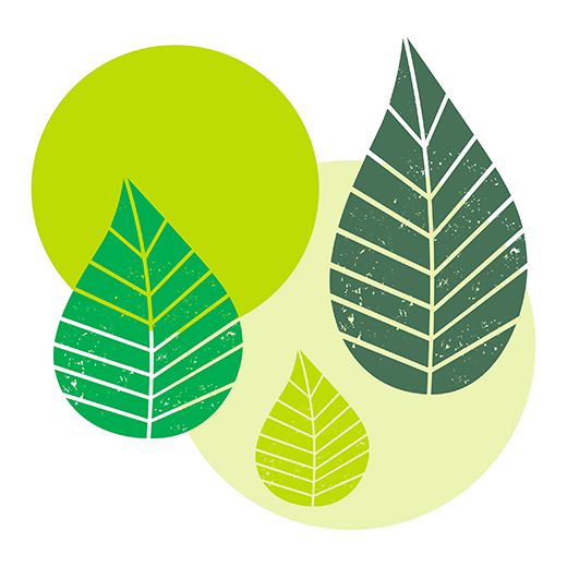 Servetten, 3-laags 1/4 vouw 40 cm x 40 cm groen "Graphic Leaves" 1