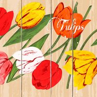 Servetten, 3-laags 1/4 vouw 33 cm x 33 cm "Blooming Tulips"