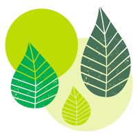 Servetten, 3-laags 1/4 vouw 40 cm x 40 cm groen "Graphic Leaves"