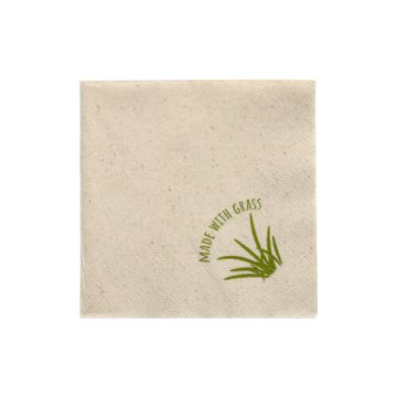 Servetten, 2-laags 1/4 vouw 24 x 24 cm met grasvezels