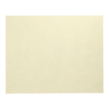 Placemats, stofkarakter, nonwoven "soft selection" 30 cm x 40 cm creme